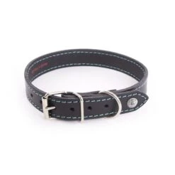 Martin Sellier Collier Cuir Flash Turquoise T75