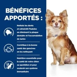 Hill's Prescription Diet Canine T/D MINI 3 Kg -Trixiebea Boutique 52742402109 4 prescription diet chien t d mini croquettes poulet