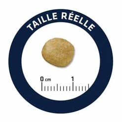 Advance Veterinary Diets Chien Renal 3 Kg -Trixiebea Boutique advance veterinary diet chien renal 12 kg 2 1