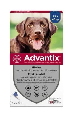 Advantix Grand Chien (25 - 40 Kg) - 6 Pipettes