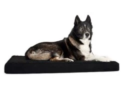 Back On Track Matelas Pour Chien 60 × 70 Cm