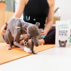 Edgard & Cooper Mach'sticks Fraise Et Menthe Petit Chien 105 G -Trixiebea Boutique chien dental adulte naturel menthe fraise 105g 3