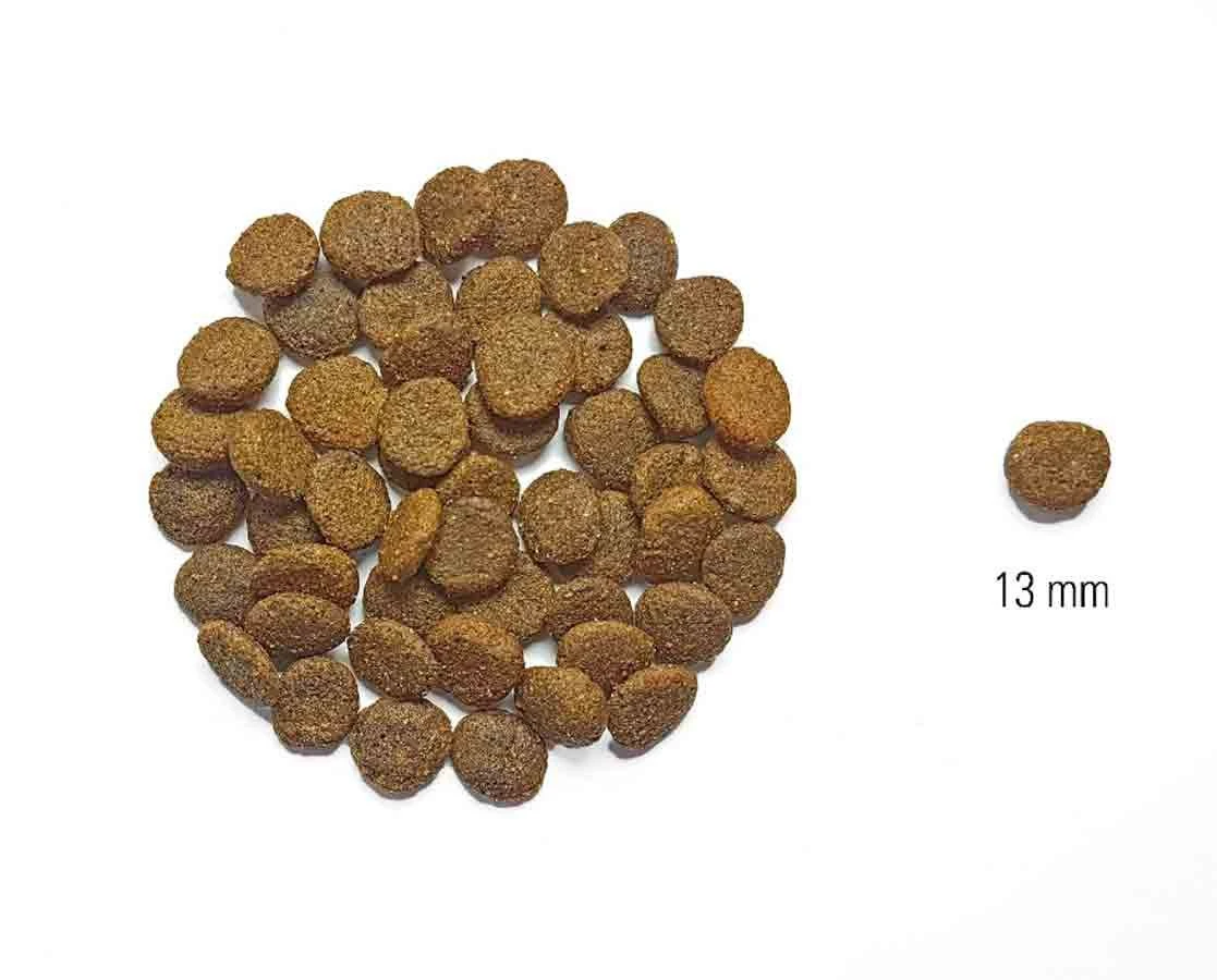 Dog's Love Croquettes Dinde Sans Céréales Et Sans Gluten 2 Kg - Destockage 2 Dog's Love Croquettes Dinde Sans Céréales Et Sans Gluten 2 Kg - Destockage – Image 2