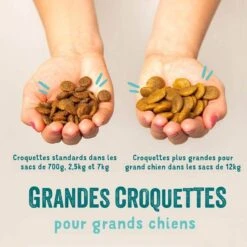Edgard & Cooper Chevreuil Frais & Canard Sans Céréales Grand Chien Adult 12 Kg -Trixiebea Boutique edgard cooper croquettes chevreuil frais canard sans c r ales chien adulte 2 1 3