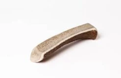 Evident Bois De Cerf Chiot XS