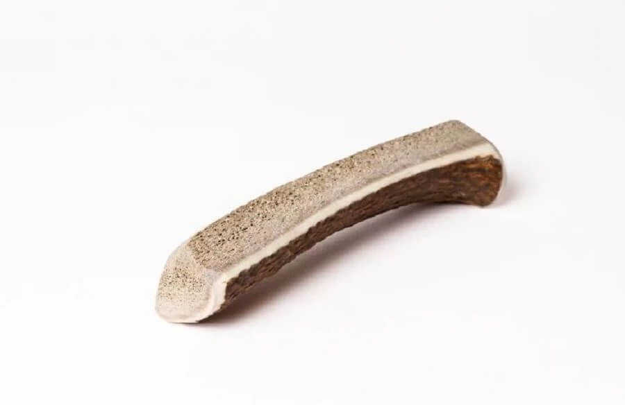 Evident Bois De Cerf Chiot XS 1 Evident Bois De Cerf Chiot XS