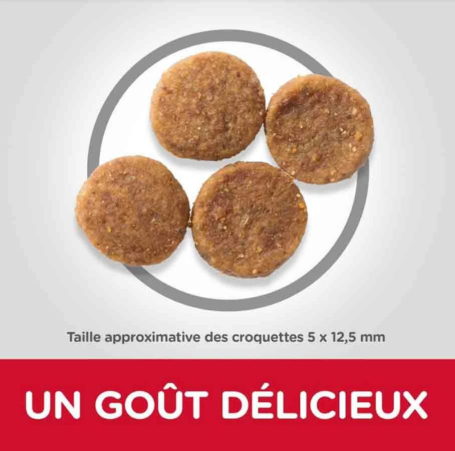 Hill's Science Plan Hill's Science Plan Canine Adult Medium Poulet 2.5 Kg 2 Hill's Science Plan Hill's Science Plan Canine Adult Medium Poulet 2.5 Kg – Image 2