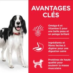 Hill's Science Plan Hill's Science Plan Canine Adult Medium Poulet 2.5 Kg 5 Hill's Science Plan Hill's Science Plan Canine Adult Medium Poulet 2.5 Kg -Trixiebea Boutique hill s science plan canine adult medium poulet 14 kg4 3