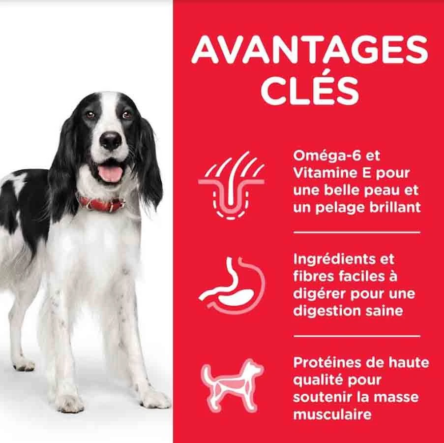 Hill's Science Plan Hill's Science Plan Canine Adult Medium Poulet 2.5 Kg 3 Hill's Science Plan Hill's Science Plan Canine Adult Medium Poulet 2.5 Kg – Image 3