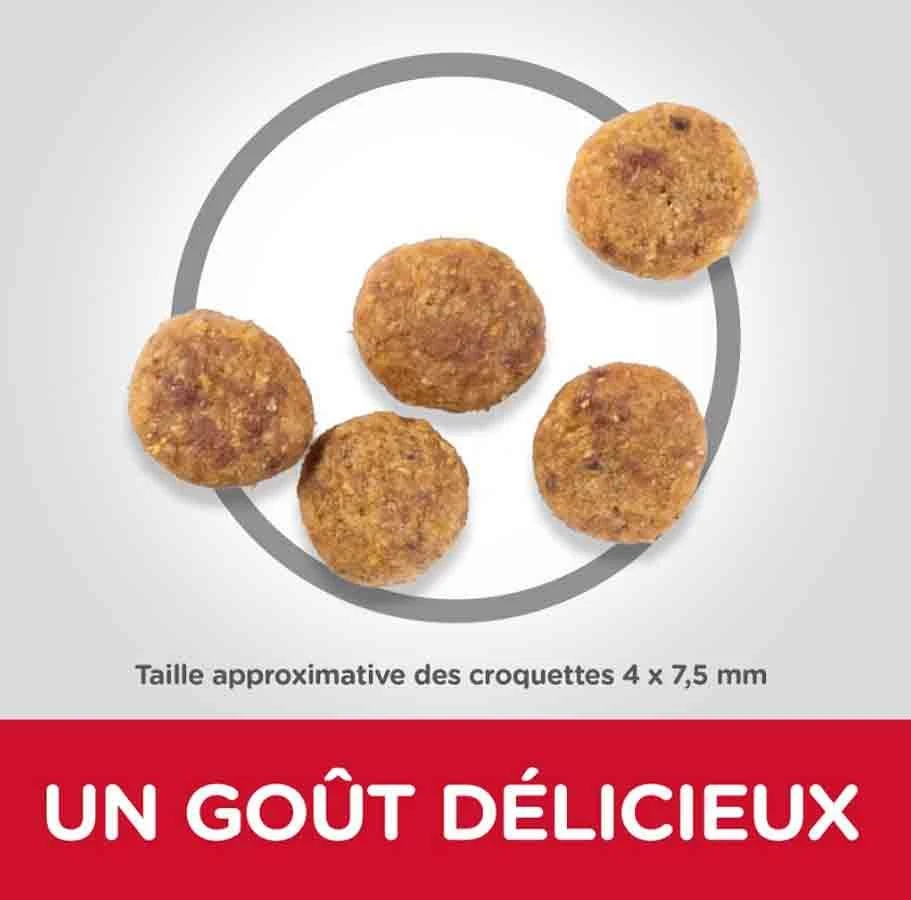 Hill's Science Plan Hill's Science Plan Canine Adult Perfect Weight Small & Mini Poulet 1,5 Kg 3 Hill's Science Plan Hill's Science Plan Canine Adult Perfect Weight Small & Mini Poulet 1,5 Kg – Image 3