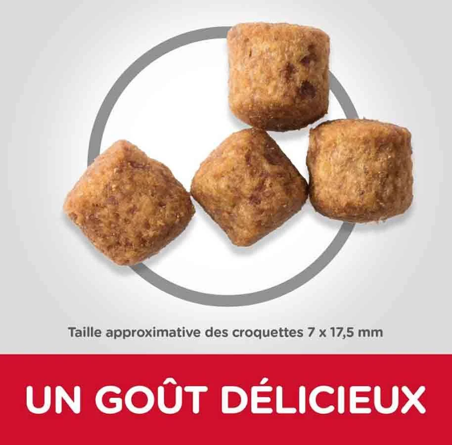 Hill's Science Plan Canine Mature Adult 6+ Senior Vitality Large Breed Poulet 14 Kg 2 Hill's Science Plan Canine Mature Adult 6+ Senior Vitality Large Breed Poulet 14 Kg – Image 2