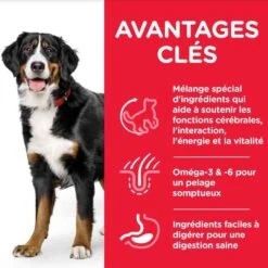Hill's Science Plan Canine Mature Adult 6+ Senior Vitality Large Breed Poulet 14 Kg 6 Hill's Science Plan Canine Mature Adult 6+ Senior Vitality Large Breed Poulet 14 Kg -Trixiebea Boutique hill s science plan canine mature adult 5 youthful vitality large breed poulet 14 kg4