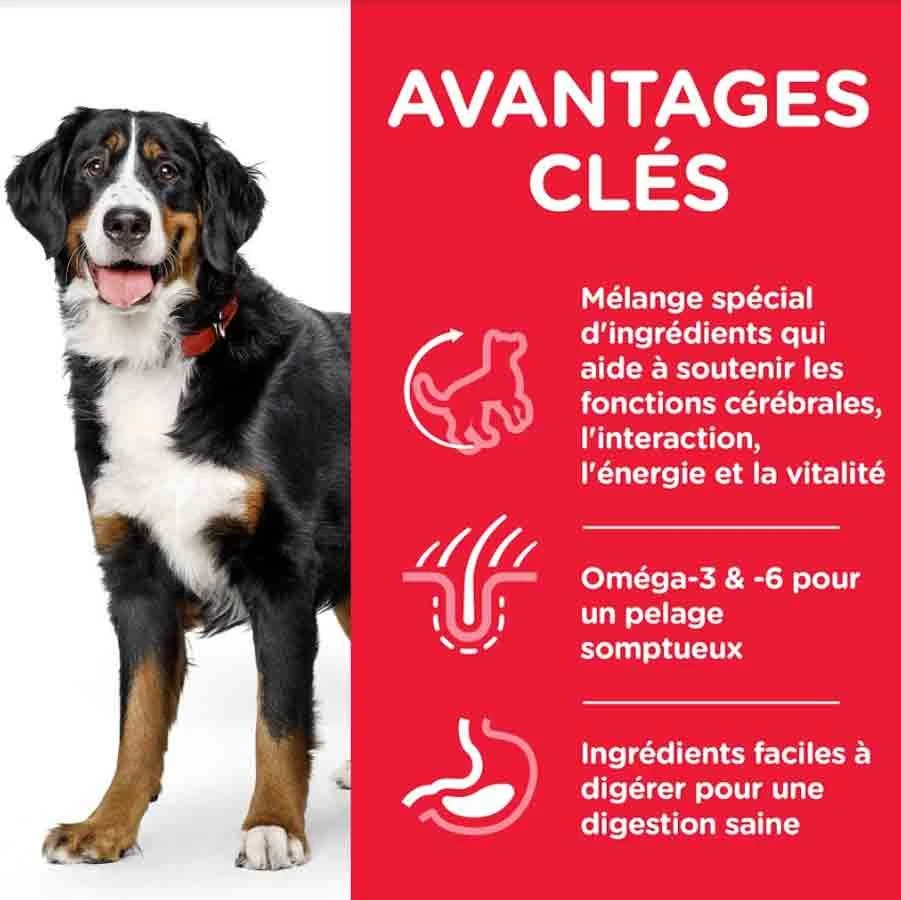 Hill's Science Plan Canine Mature Adult 6+ Senior Vitality Large Breed Poulet 14 Kg 3 Hill's Science Plan Canine Mature Adult 6+ Senior Vitality Large Breed Poulet 14 Kg – Image 3
