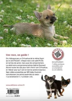 Livre - Bien Vivre Avec Mon Chihuahua -Trixiebea Boutique livre bien vivre avec mon chihuahua4