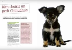 Livre - Bien Vivre Avec Mon Chihuahua -Trixiebea Boutique livre bien vivre avec mon chihuahua3