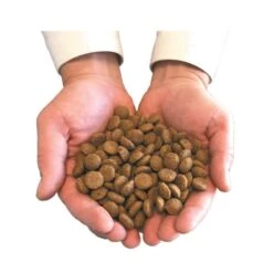 Canichef Croquettes BIO Sans Céréales, Sans Gluten Chiot 2 Kg 7 Canichef Croquettes BIO Sans Céréales, Sans Gluten Chiot 2 Kg -Trixiebea Boutique main avec croquettes 3 7