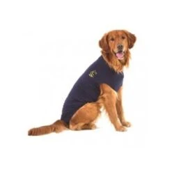Medical Pet Shirt Chien L