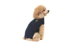 Medical Pet Shirt Chien XXXS