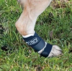 Orthese Balto Carpe Et Tarse S -Trixiebea Boutique orthese balto carpe et tarse3 1 1