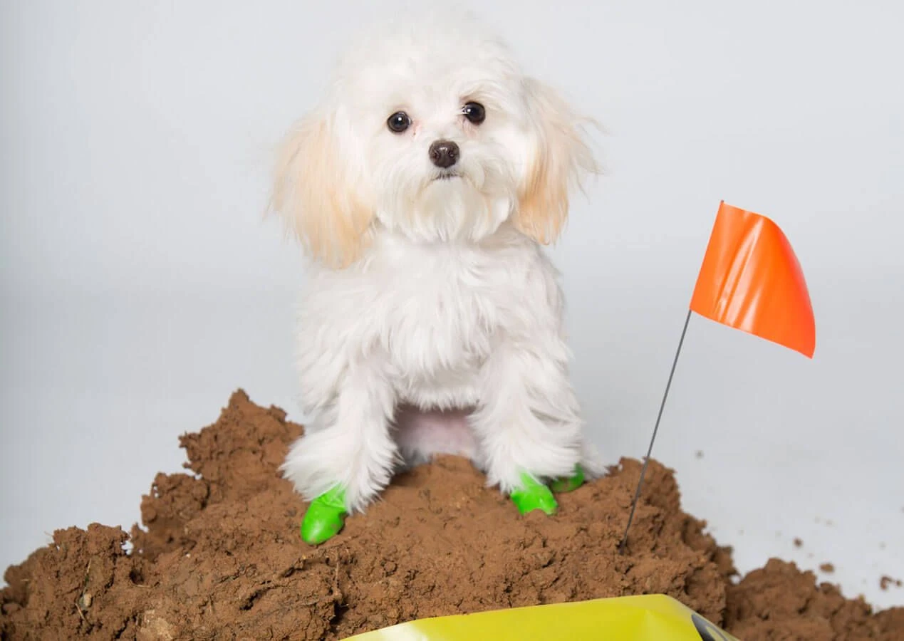 Pawz Bottes Camouflage Tiny 4 Pawz Bottes Camouflage Tiny – Image 4