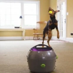 Pet Safe Lanceur Balles De Tennis Automatique Chien -Trixiebea Boutique pet safe lanceur balles de tennis automatique chien3