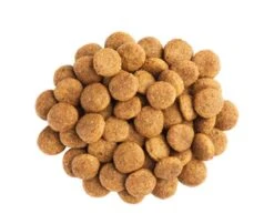 Purina Proplan Canine NeuroCare NC 12 Kg -Trixiebea Boutique purina proplan canine neurocare nc2 1