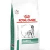 Royal Canin Vet Chien Diabetic 12 Kg