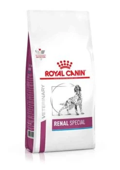Royal Canin Vet Chien Renal Special 10 Kg