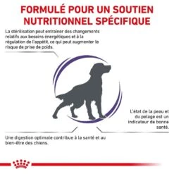 Trixiebea Boutique -Trixiebea Boutique royal canin veterinary neutered adult dog 9 kg 2