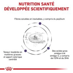 Royal Canin Veterinary Neutered Adult Dog 9 Kg -Trixiebea Boutique royal canin veterinary neutered adult dog 9 kg 3