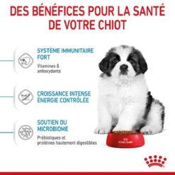Royal Canin Giant Puppy 3,5 Kg -Trixiebea Boutique royal canin giant puppy 3 1