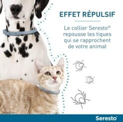 Seresto Collier Antiparasitaire Petit Chien X2 -Trixiebea Boutique serestochatchien 3