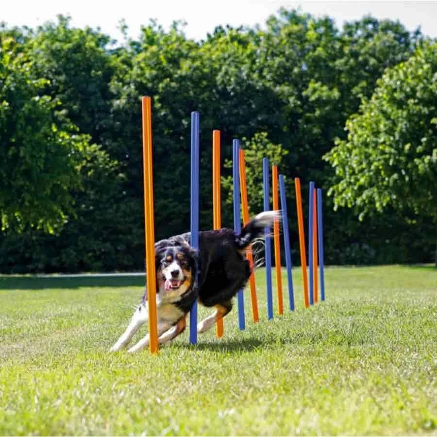 Trixie Slalom Agility 1 Trixie Slalom Agility