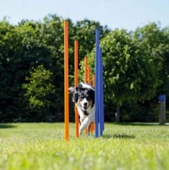 Trixie Slalom Agility 5 Trixie Slalom Agility -Trixiebea Boutique slalom3