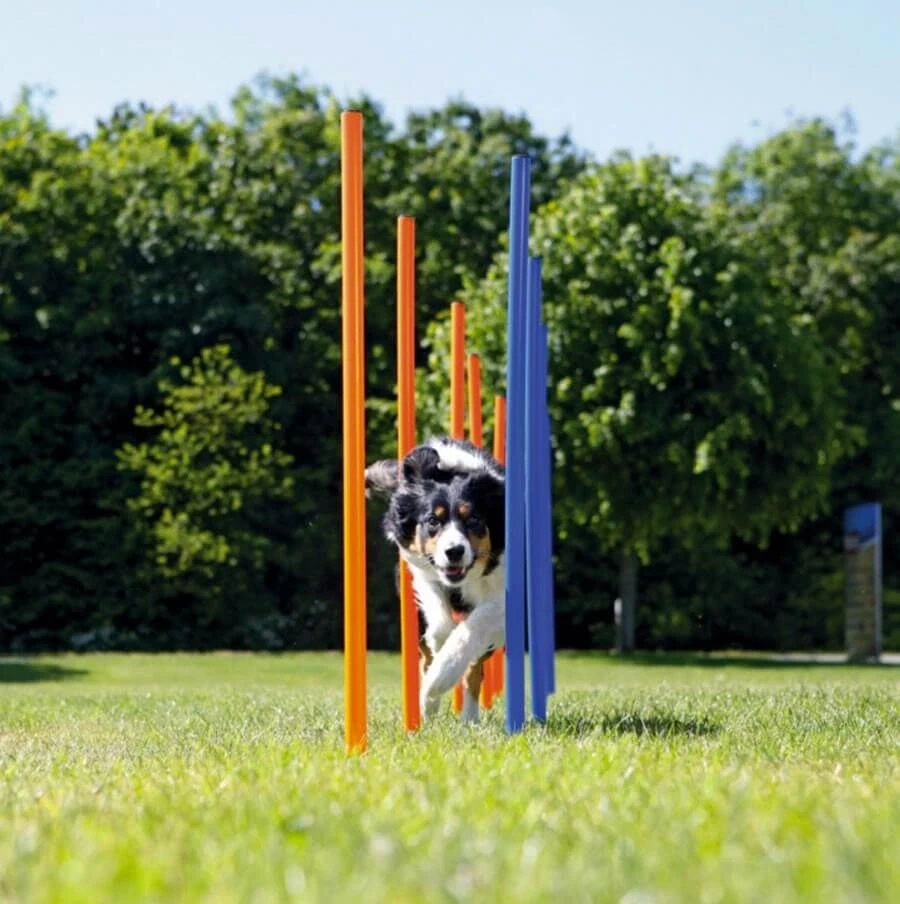 Trixie Slalom Agility 3 Trixie Slalom Agility – Image 3