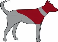 Trixie Carcan Gonflable Pour Chien M-L -Trixiebea Boutique trixie carcan gonflable pour chien m l3